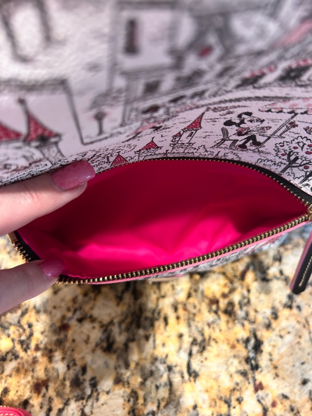 Dooney & Bourke Disney “Minnie in the Park” Hobo Bag AND Coordinating Wallet Set - Picture 12 of 16